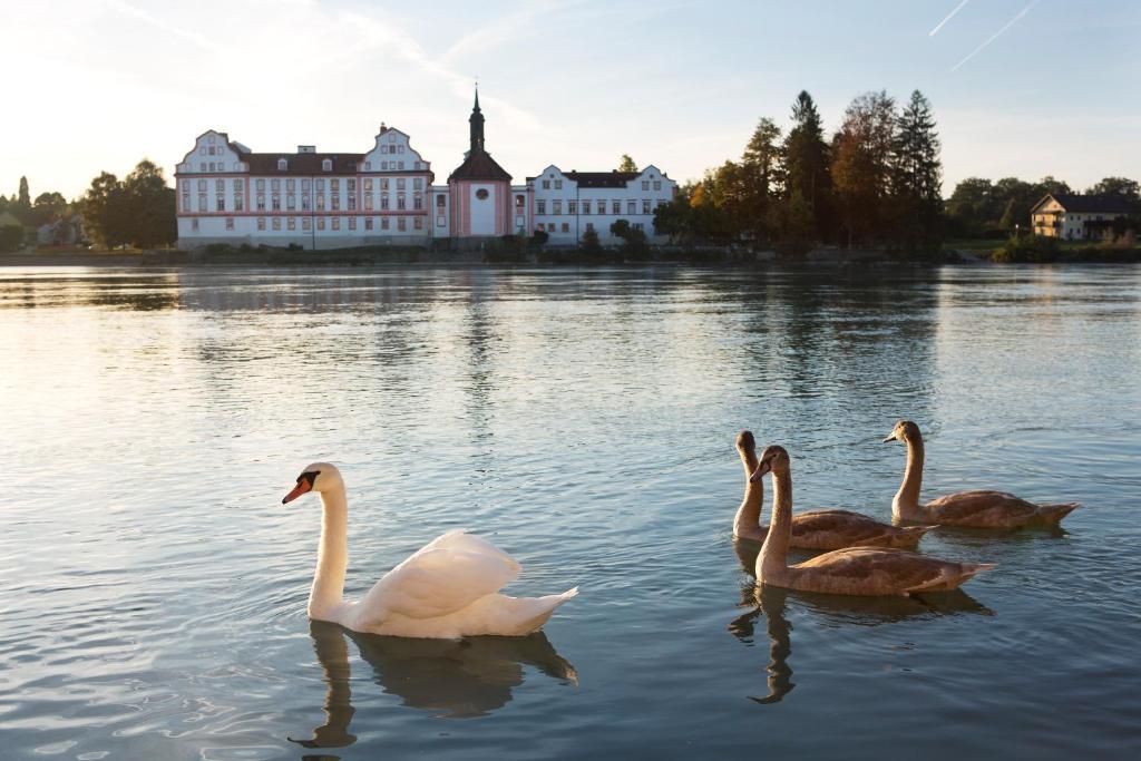 Gesundheitshotel Gugerbauer Schärding Zewnętrze zdjęcie